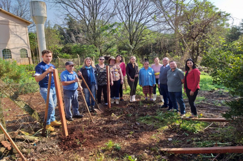 Foto - Parceria entre Município e Emater fomenta produção de hortaliças