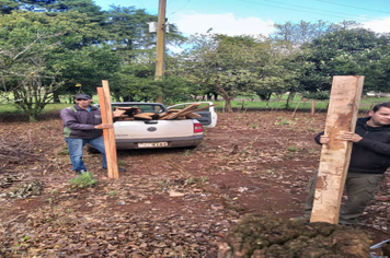Foto - Parceria entre Município e Emater fomenta produção de hortaliças