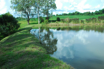 Foto - PASSEIO CULTURAL em Linha Pedreira