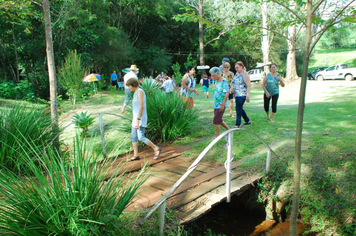 Foto - PASSEIO CULTURAL em Linha Pedreira