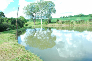 Foto - PASSEIO CULTURAL em Linha Pedreira