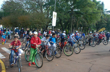 Foto - Passeio Sobre Rodas