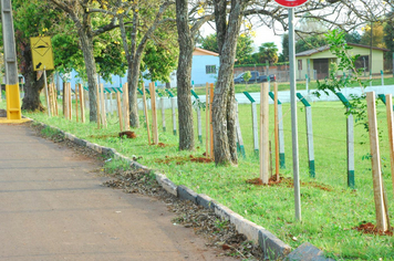 Foto - Plantio da Árvores na avenida