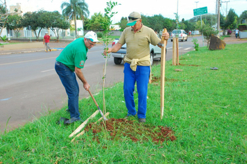 Foto - Plantio da Árvores na avenida