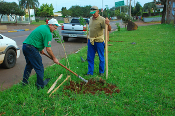 Foto - Plantio da Árvores na avenida