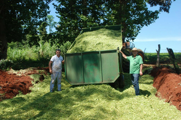 Foto - PRODUÇÃO DE SILAGEM