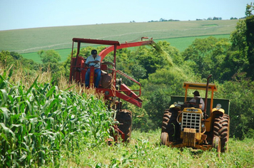 Foto - PRODUÇÃO DE SILAGEM