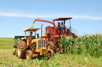 Foto - PRODUÇÃO DE SILAGEM