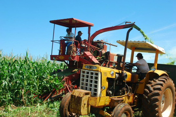 Foto - PRODUÇÃO DE SILAGEM