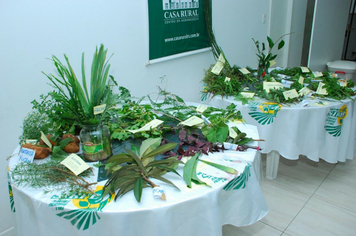 Foto - reunião plantas medicinais