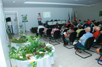 Foto - reunião plantas medicinais