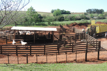 Foto - Rodeio 2018