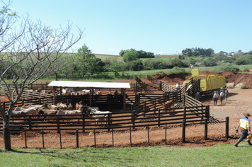 Foto - Rodeio 2018