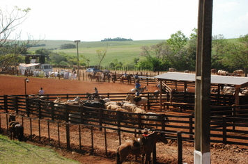 Foto - Rodeio 2018