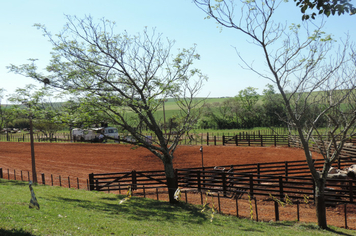 Foto - Rodeio 2018