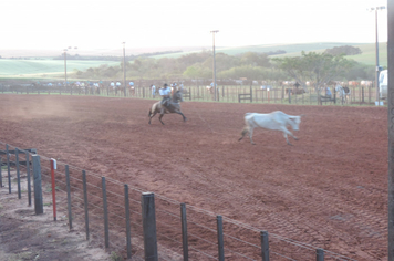 Foto - Rodeio 2018