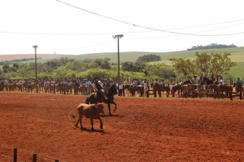 Foto - Rodeio 2018