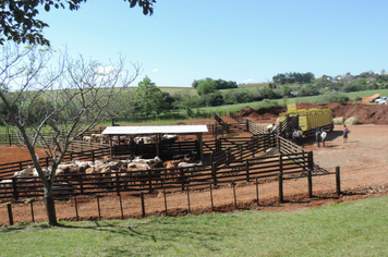 Foto - Rodeio 2018