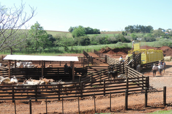 Foto - Rodeio 2018