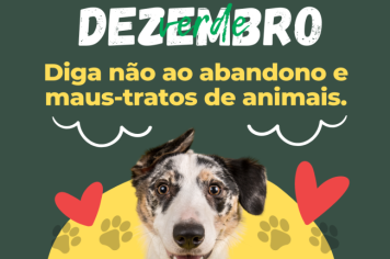 Campanha Dezembro Verde