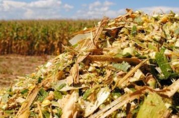 Prefeitura auxilia na produção de silagem em pequenas propriedades rurais