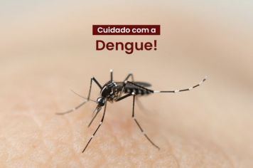 Pejuçara segue sem registros de casos de dengue desde o dia 22 de maio