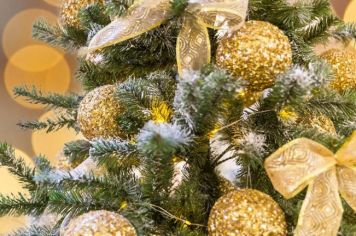 Inscrições abertas para adoção de árvore e rótula para ornamentação natalina