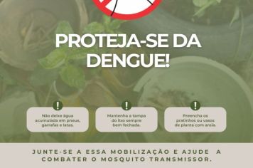 Dengue: Cuidados