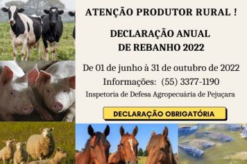 DECLARAÇÃO ANUAL DE REBANHO OBRIGATÓRIA 2022