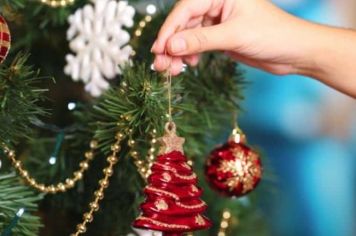 Natal Participativo 2024:  Departamento de Cultura registra grande procura por adoção de árvores e rótulas para ornamentação natalina