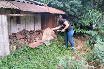 Equipe de Agentes de Combate à Endemias realiza Levantamento de Índice Rápido por Amostragem 