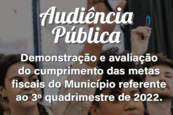 Audiência Pública