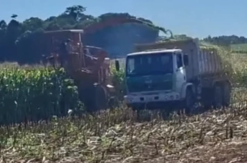 Agricultura mantém apoio à produção de silagem até a Safra 2026