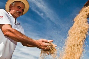 Financiamento Rural