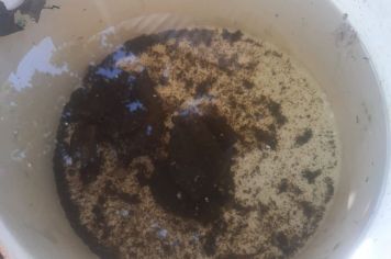 Trabalhos de combate ao Aedes aegypti no município