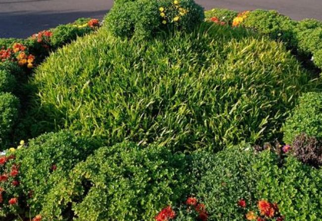 Segue o projeto de embelezamento de Pejuçara