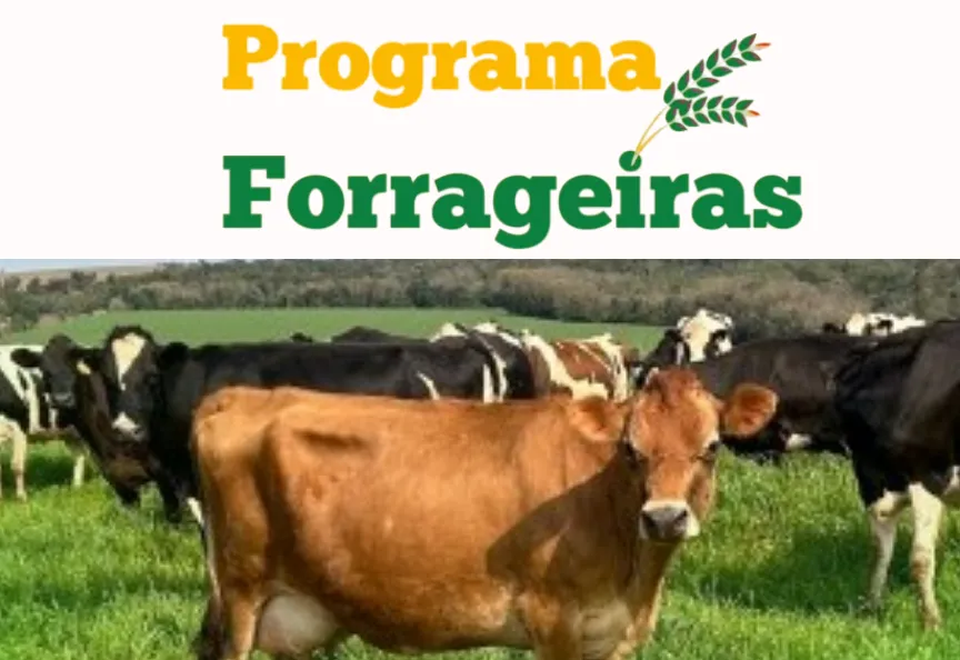 Hoje é o último dia para aderir ao Programa Forrageiras 2025/2026 da SDR/RS