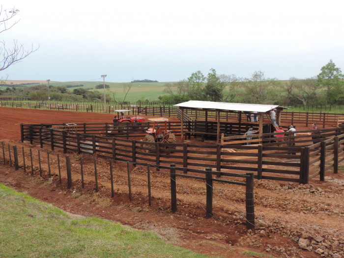 Inauguração da nova pista de rodeio e show devem atrair público regional neste final de semana