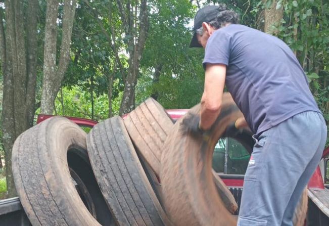 Trabalhos de combate à dengue