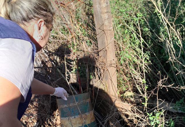 Ações de combate à Dengue seguem no município
