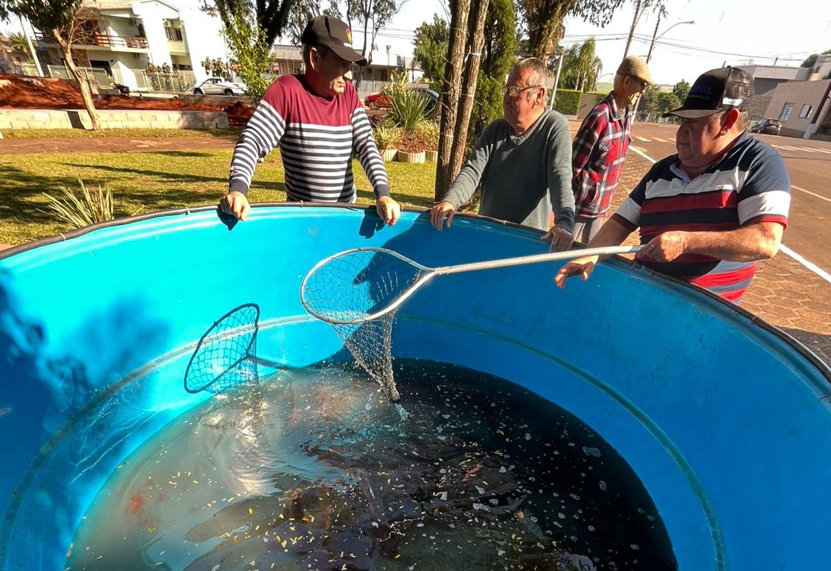 Feira do Peixe Vivo