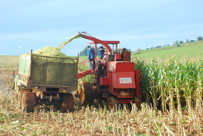 AGRICULTURA:  Produtores prepararam 300 hectares de silagem  com equipamentos da Patrulha Mecanizada