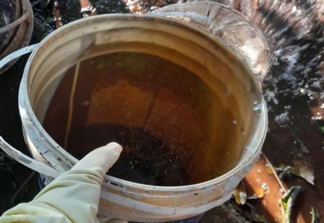 Agentes de Saúde e de Combate a Endemias realizam mais um mutirão de combate à dengue