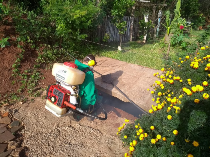 Saúde atua no combate ao mosquito vetor da Dengue