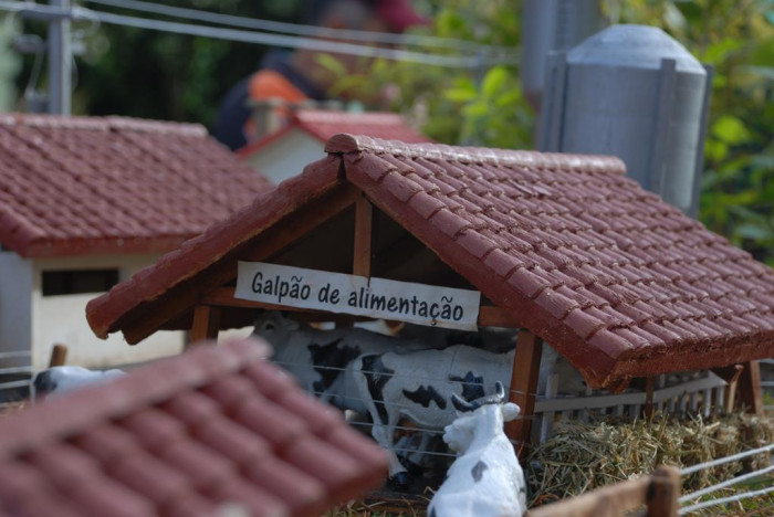 Um olhar sobre a bovinocultura de leite nos 50 Anos de Pejuçara