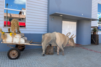 Foto - 73ª Festa da Uva e do Trigo de Pejuçara