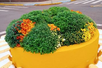 Foto - Projeto de embelezamento de Pejuçara