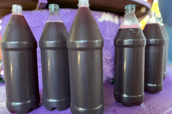 Foto - 73ª Festa da Uva e do Trigo de Pejuçara