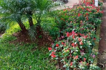 Foto - Projeto de embelezamento de Pejuçara