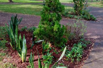 Foto - Projeto de embelezamento de Pejuçara